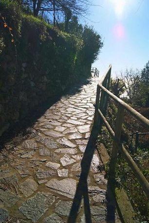 ヴェルナッツァTrekking And Relax - Maremonti - Homy 5 Terreアパートメント エクステリア 写真